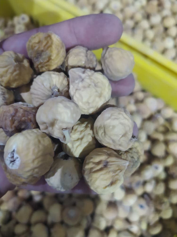 تصویر 1 از خرید انلاین انجیر خشک سوپر دو آ + ارسال سریع